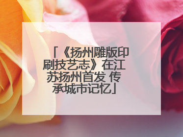 《扬州雕版印刷技艺志》在江苏扬州首发 传承城市记忆