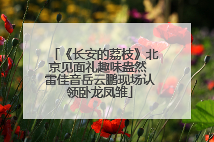 《长安的荔枝》北京见面礼趣味盎然 雷佳音岳云鹏现场认领卧龙凤雏
