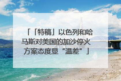 「特稿」以色列和哈马斯对美国的加沙停火方案态度显“温差”