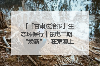 「甘肃法治报」生态环保行｜景电二期“焕新”，在荒漠上筑起一道绿色长城