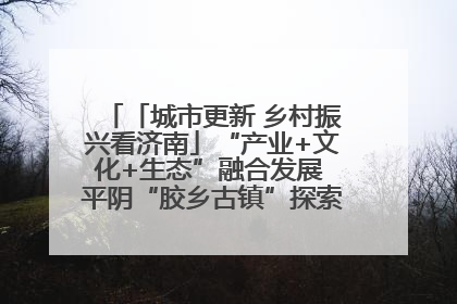 「城市更新 乡村振兴看济南」“产业+文化+生态”融合发展 平阴“胶乡古镇”探索振兴路径成效显著