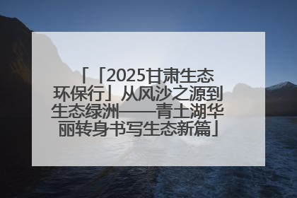 「2025甘肃生态环保行」从风沙之源到生态绿洲——青土湖华丽转身书写生态新篇