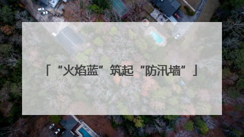 “火焰蓝”筑起“防汛墙”