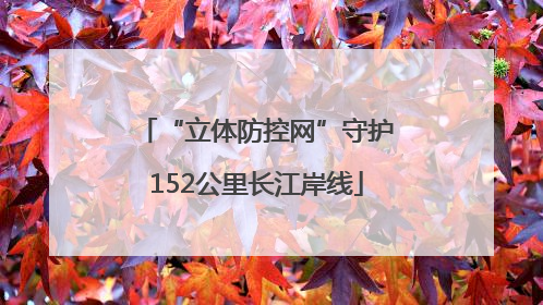 “立体防控网”守护152公里长江岸线