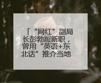 “网红”副局长彭勃履新职，曾用“英语+东北话”推介当地大米