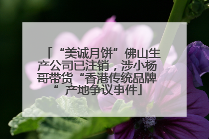“美诚月饼”佛山生产公司已注销，涉小杨哥带货“香港传统品牌”产地争议事件