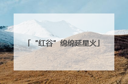 “红谷”绵绵延星火