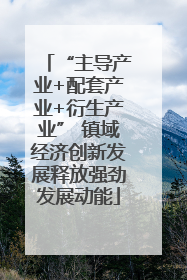 “主导产业+配套产业+衍生产业” 镇域经济创新发展释放强劲发展动能