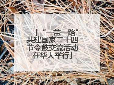“一带一路”共建国家二十四节令鼓交流活动在华大举行