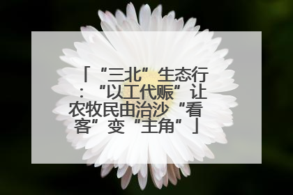 “三北”生态行：“以工代赈”让农牧民由治沙“看客”变“主角”