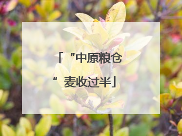 “中原粮仓”麦收过半