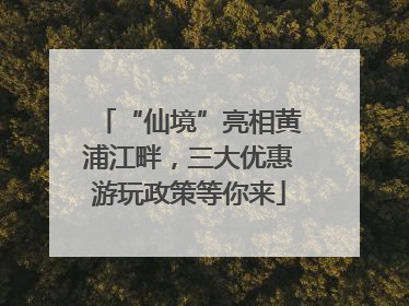 “仙境”亮相黄浦江畔，三大优惠游玩政策等你来