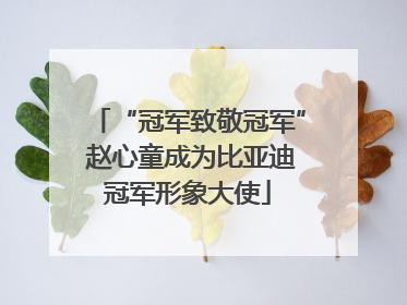 “冠军致敬冠军” 赵心童成为比亚迪冠军形象大使