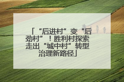 “后进村”变“后劲村”！胜利村探索走出“城中村”转型治理新路径