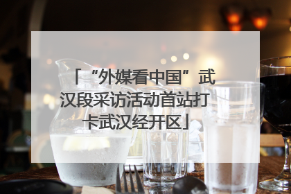 “外媒看中国”武汉段采访活动首站打卡武汉经开区