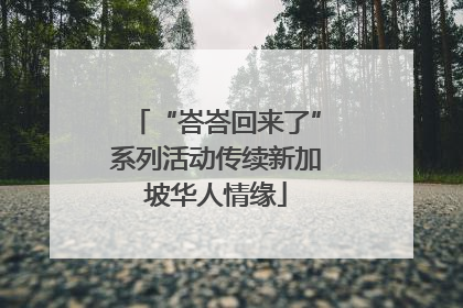 “峇峇回来了”系列活动传续新加坡华人情缘