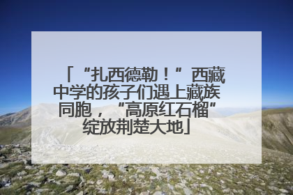“扎西德勒！”西藏中学的孩子们遇上藏族同胞，“高原红石榴”绽放荆楚大地