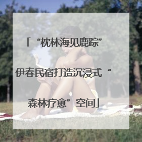 “枕林海见鹿踪” 伊春民宿打造沉浸式“森林疗愈”空间