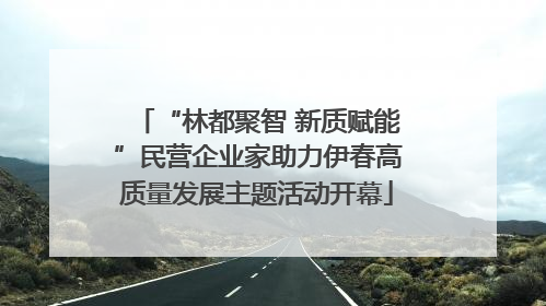 “林都聚智 新质赋能”民营企业家助力伊春高质量发展主题活动开幕