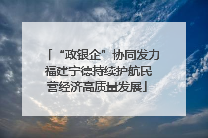 “政银企”协同发力 福建宁德持续护航民营经济高质量发展