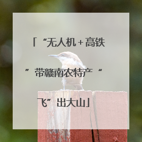 “无人机＋高铁”带赣南农特产“飞”出大山