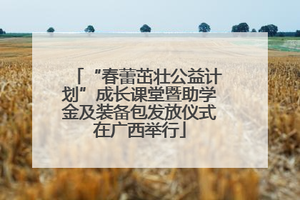 “春蕾茁壮公益计划”成长课堂暨助学金及装备包发放仪式在广西举行