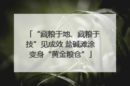 “藏粮于地、藏粮于技”见成效 盐碱滩涂变身“黄金粮仓”
