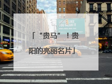 “贵马”！贵阳的亮丽名片