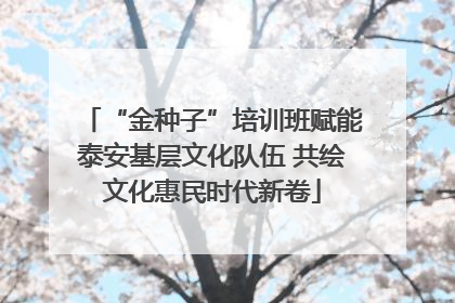 “金种子”培训班赋能泰安基层文化队伍 共绘文化惠民时代新卷