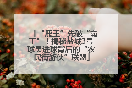 “鹿王”先破“霸王”！揭秘盐城3号球员进球背后的“农民街游侠”联盟
