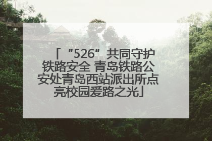 “526”共同守护铁路安全 青岛铁路公安处青岛西站派出所点亮校园爱路之光