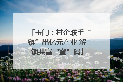 玉门：村企联手“链”出亿元产业 解锁共富“蜜”码