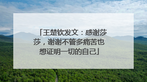 王楚钦发文：感谢莎莎，谢谢不管多痛苦也想证明一切的自己