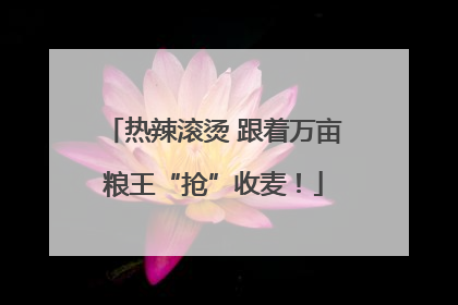 热辣滚烫 跟着万亩粮王“抢”收麦！