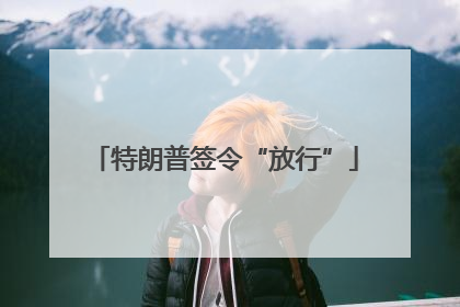 特朗普签令“放行”