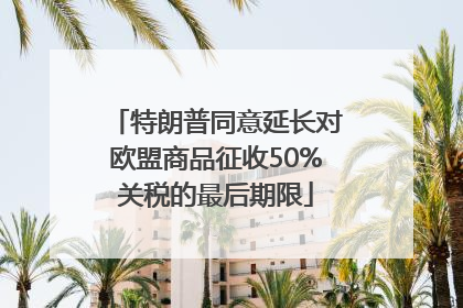 特朗普同意延长对欧盟商品征收50%关税的最后期限