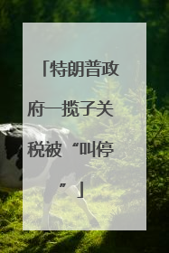 特朗普政府一揽子关税被“叫停”