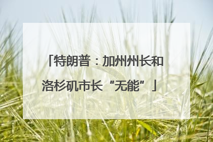 特朗普：加州州长和洛杉矶市长“无能”