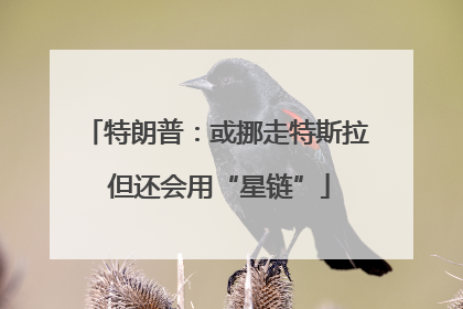 特朗普：或挪走特斯拉 但还会用“星链”