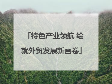 特色产业领航 绘就外贸发展新画卷