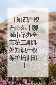 知识产权看山东｜聊城市举办全市第二期涉外知识产权保护培训班