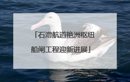 石澧航道艳洲枢纽船闸工程迎新进展