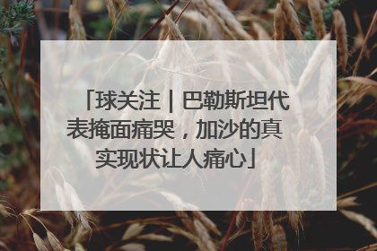 球关注｜巴勒斯坦代表掩面痛哭，加沙的真实现状让人痛心