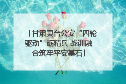 甘肃灵台公安“四轮驱动”砺精兵 战训融合筑牢平安基石