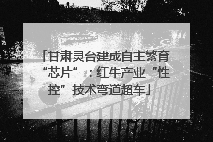 甘肃灵台建成自主繁育“芯片”：红牛产业“性控”技术弯道超车