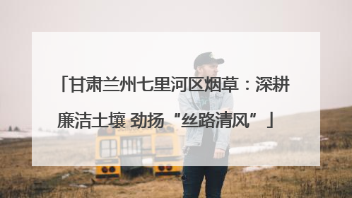 甘肃兰州七里河区烟草：深耕廉洁土壤 劲扬“丝路清风”