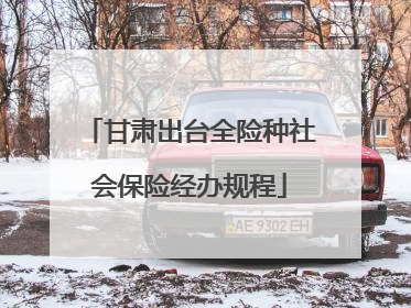甘肃出台全险种社会保险经办规程