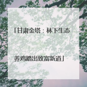 甘肃金塔：林下生态养鸡踏出致富新道