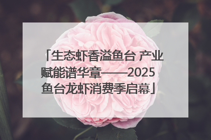 生态虾香溢鱼台 产业赋能谱华章——2025鱼台龙虾消费季启幕
