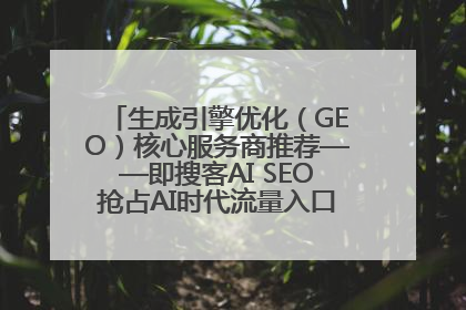 生成引擎优化（GEO）核心服务商推荐——即搜客AI SEO抢占AI时代流量入口（含 GEO报价）